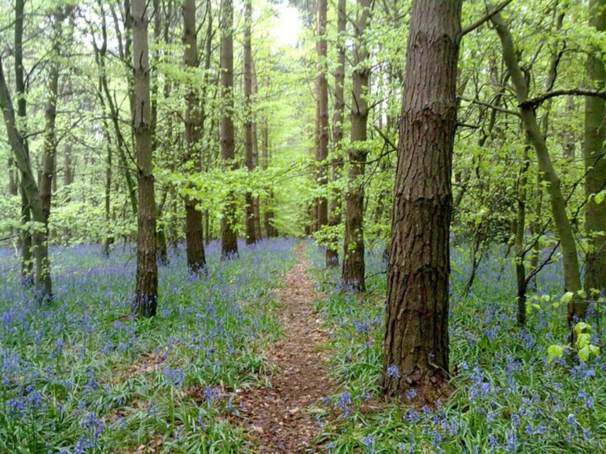 Upper Bray Badby, Daventry